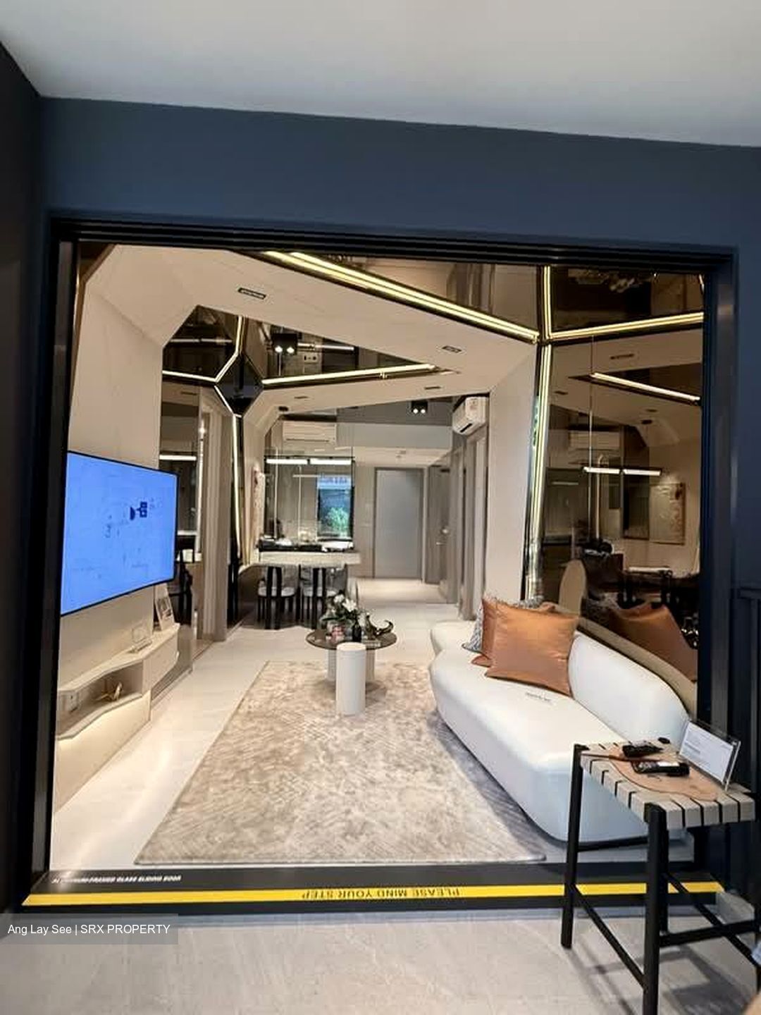 Lorong 8 Toa Payoh (D12), Condominium #555850911